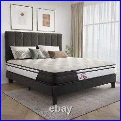 Panel Plush Velvet Upholstered Bed Frame Double & King with Mattress Option 24Hr